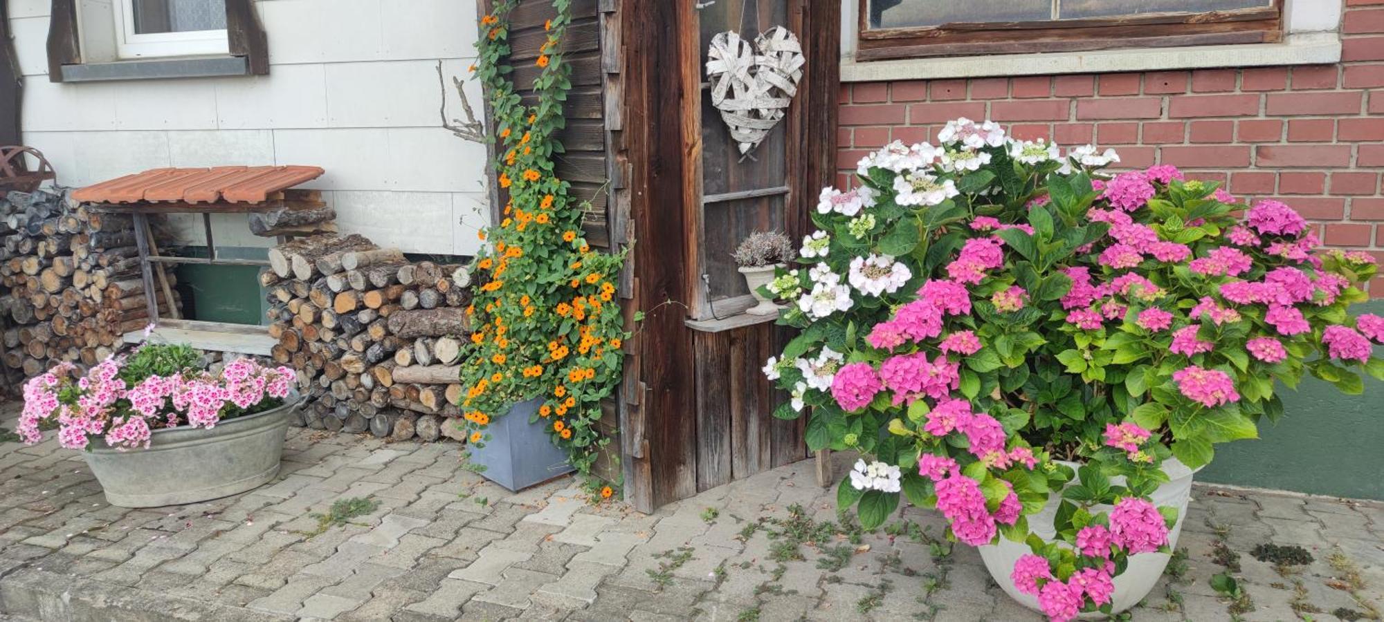 Gaestehaus Fechtig Hergensweiler Eksteriør billede